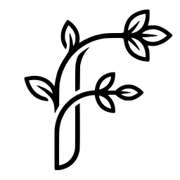 FlutterMint